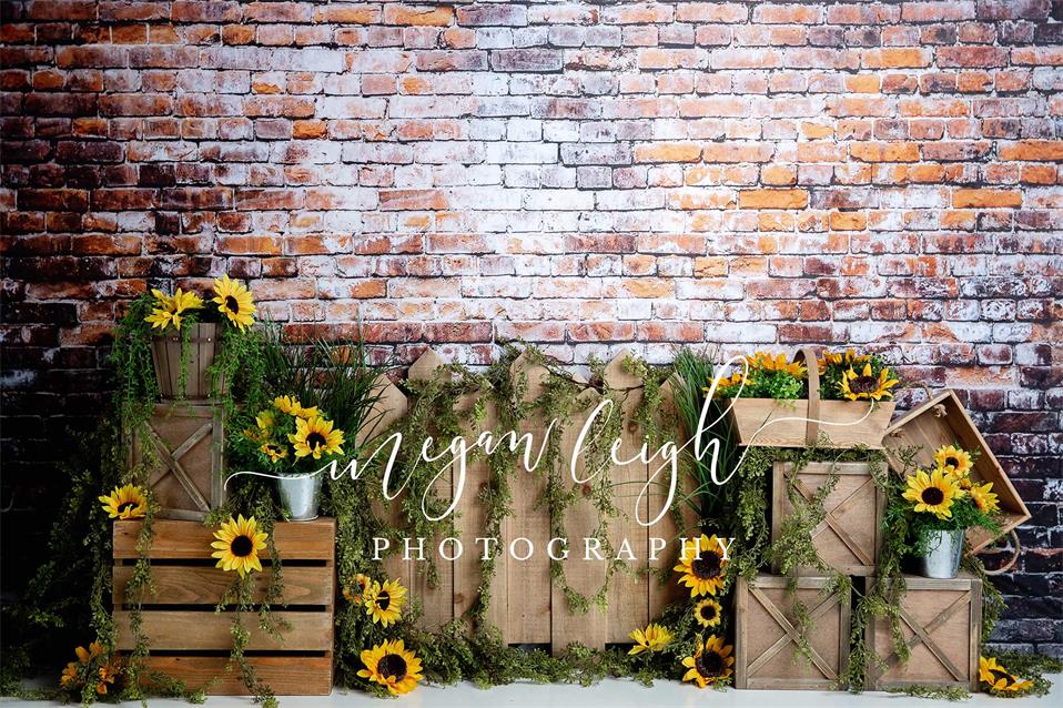 Kate Summer Sunflower Dark Brick Backdrop Designed by Megan Leigh Photography -UK