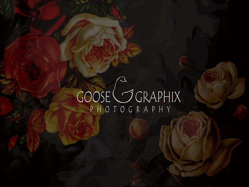 Kate Flower Night Rose Garden