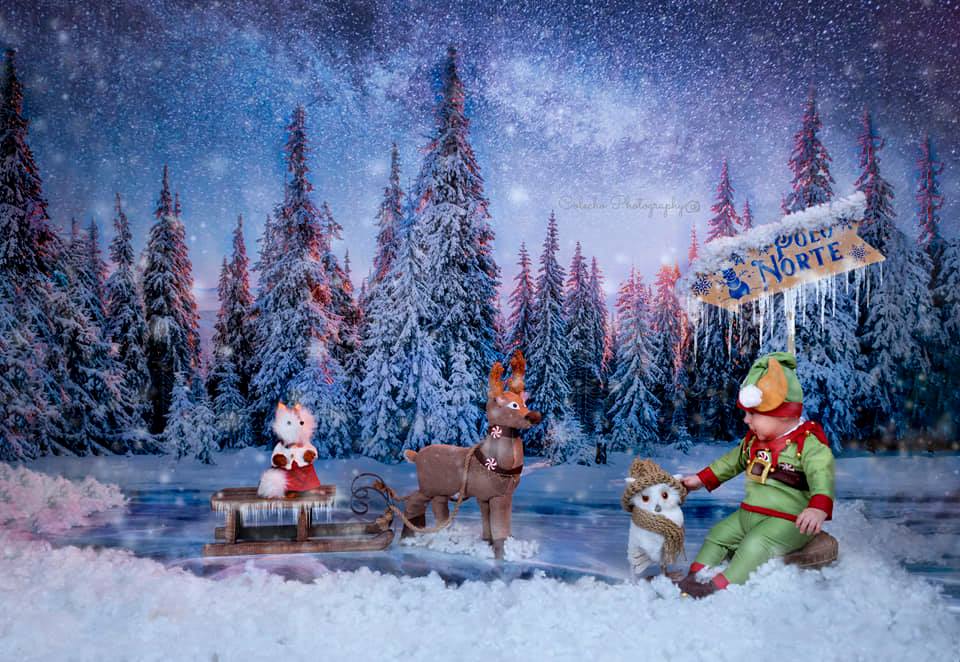 Kate Winter Frozen Lake Backdrop for Photography -UK