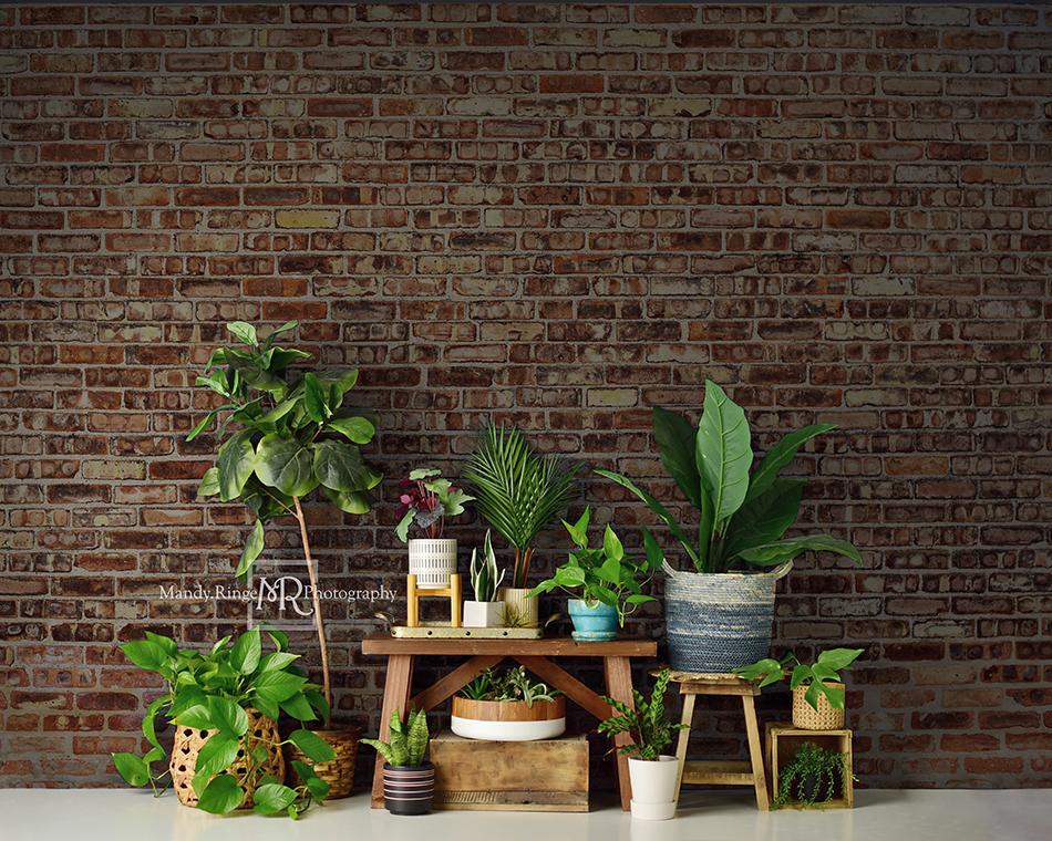 Kate Summer Plant Lover Backdrop Designed by Mandy Ringe Photography -UK