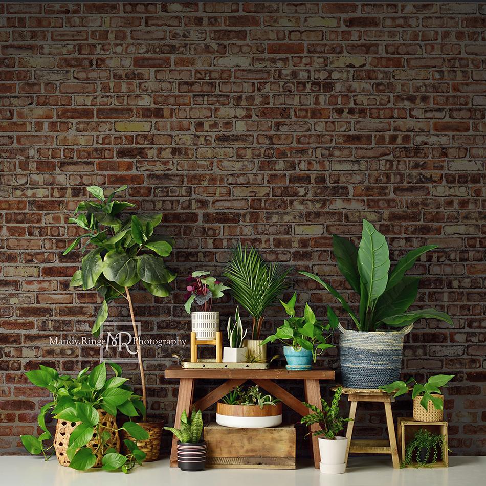 Kate Summer Plant Lover Backdrop Designed by Mandy Ringe Photography -UK