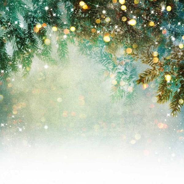 Kate Fantasy Bokeh Christmas Pine tree Backdrops for Photography -UK