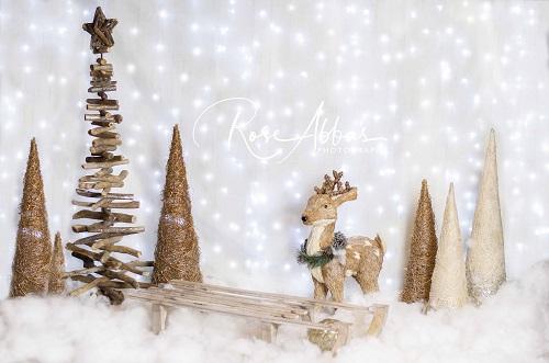 Kate Christmas Lights Backdrop Designed By Rose Abbas -UK