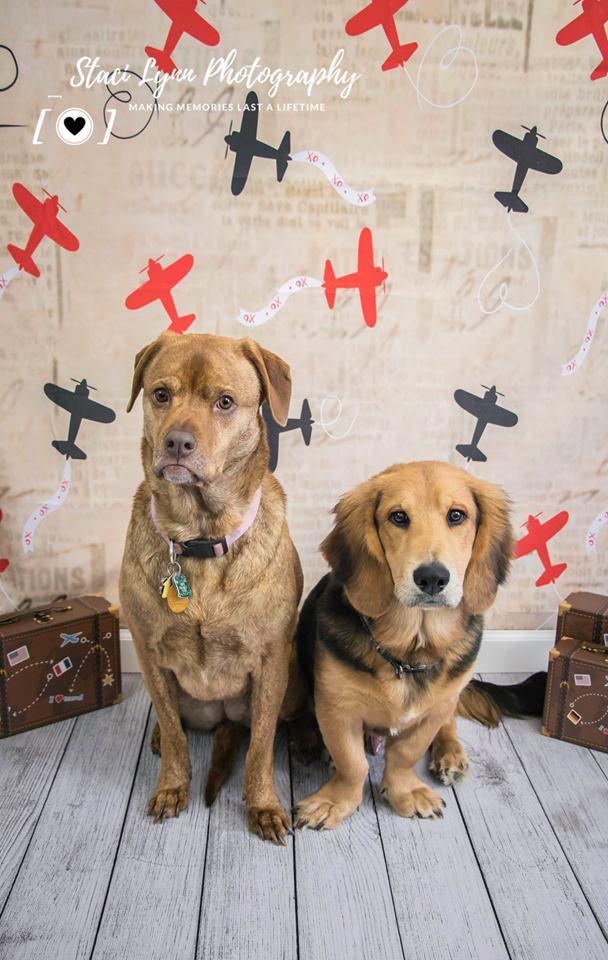 Kate Retro Planes Valentines Backdrop for Photography designed by Jerry_Sina -UK