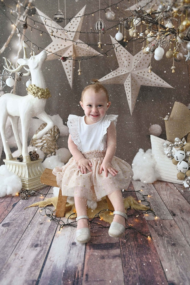 Kate Christmas Grey Star Backdrops for Photography -UK