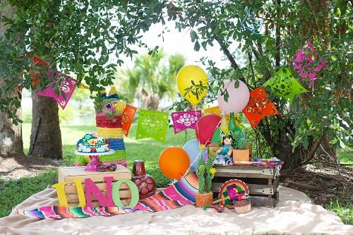 Kate First Birthday Backdrop Camp Picnic Designed by Tyna Renner -UK