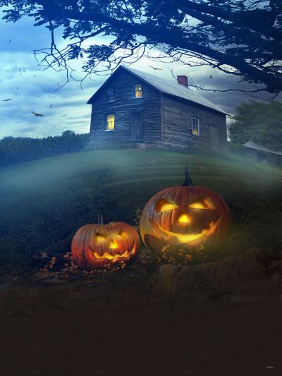 Kate Pumpkin Lantern Lawn House Light Backdrop for Halloween Photography - Kate backdrops UK