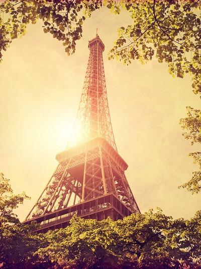 Katebackdrop£ºKate Nature Backdrop Eiffel Tower Green Leaf Kids Backdrop