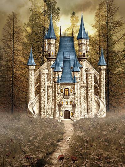 Katebackdrop£ºKate Children Retro Style Castle Photography Disney Backdrops