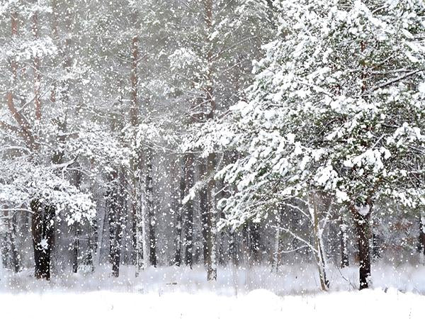 Kate Wedding Photography Backdrop Pink Flowers Photo Background