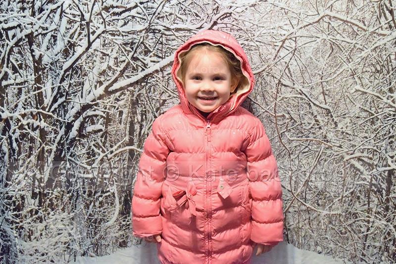 Katebackdrop£ºKate Snow Winter Forest Frozen Tree Backdrop