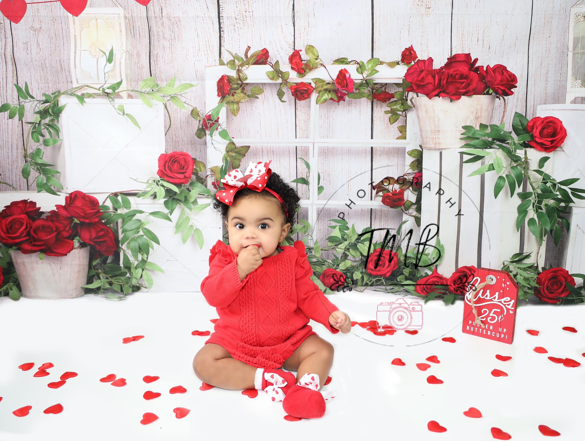 Kate Valentine's Day Roses Backdrop Designed by Emetselch -UK