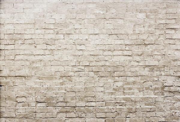 Kate Khaki Brick Wall Backdrop Background photography -UK