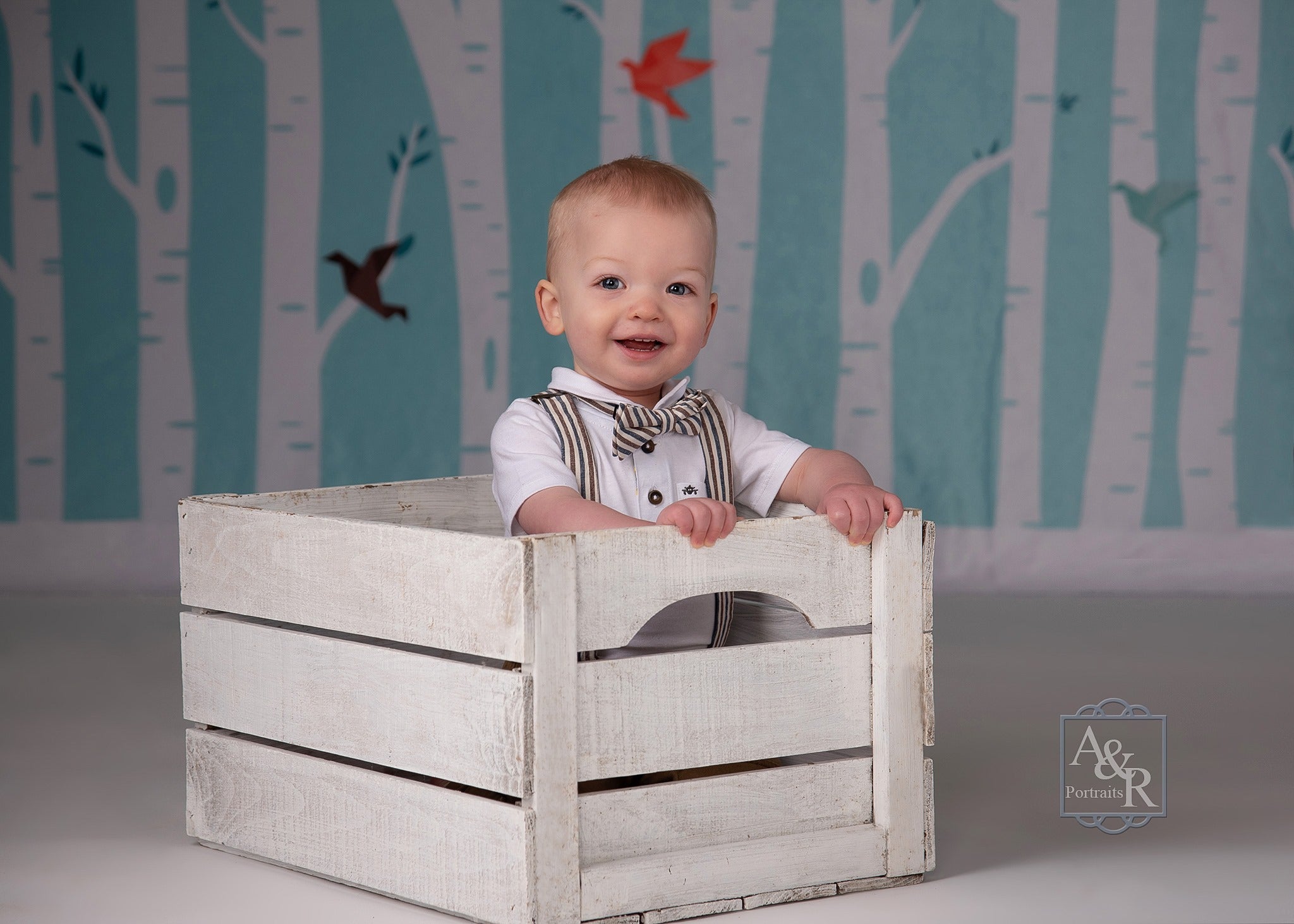 Kate Origami Birds in Birch Forest Backdrop for Photography Designed by Amanda Moffatt -UK