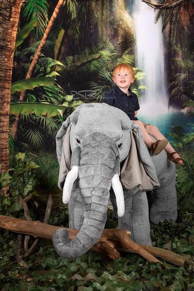 Kate Green Forest Waterfall Backdrops for Photography -UK