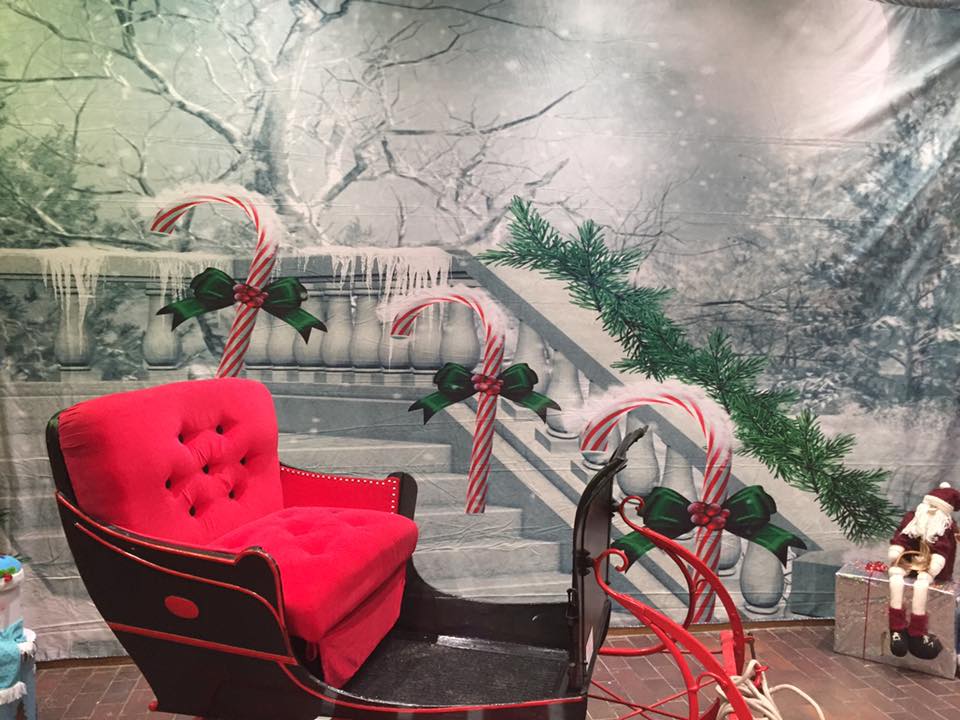 Kate Winter Scene Moon Snowflake Background Christmas - Kate backdrop UK