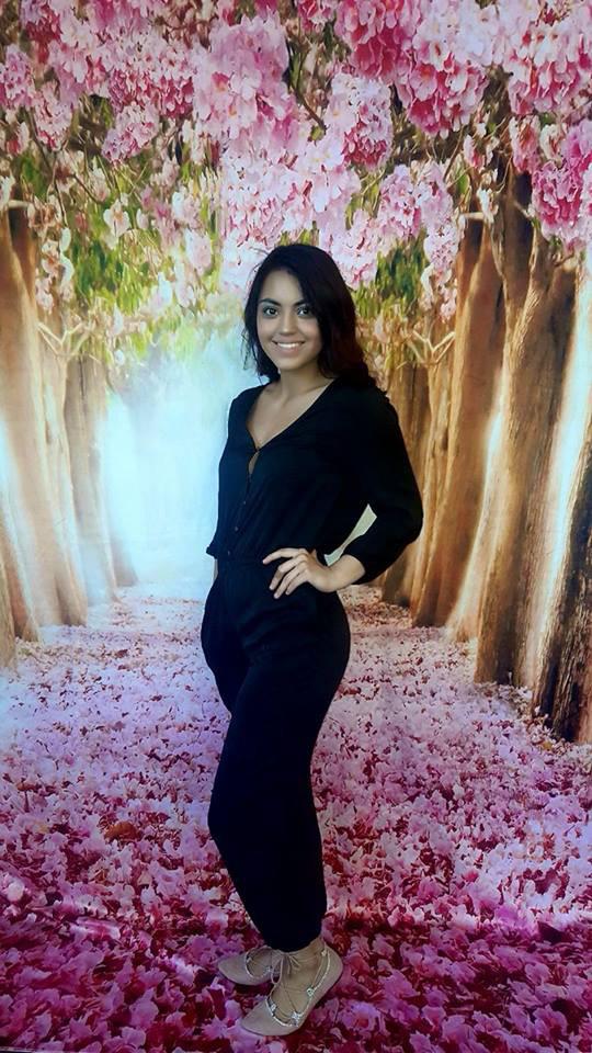 Katebackdrop£ºKate Pink Floral Sea Road And Tree Backdrops Scenery Photo Shooting