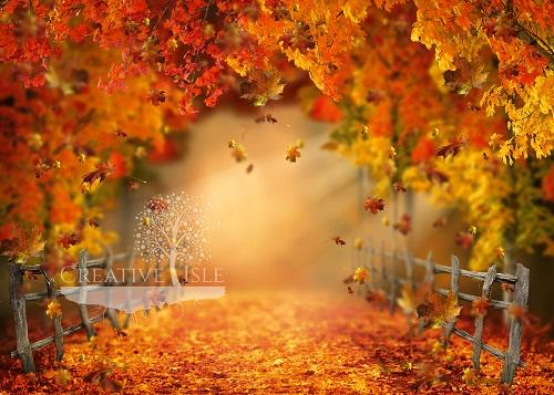 Kate Autumn Forest Leaves Backdrop Designed by Chrissie Green -UK