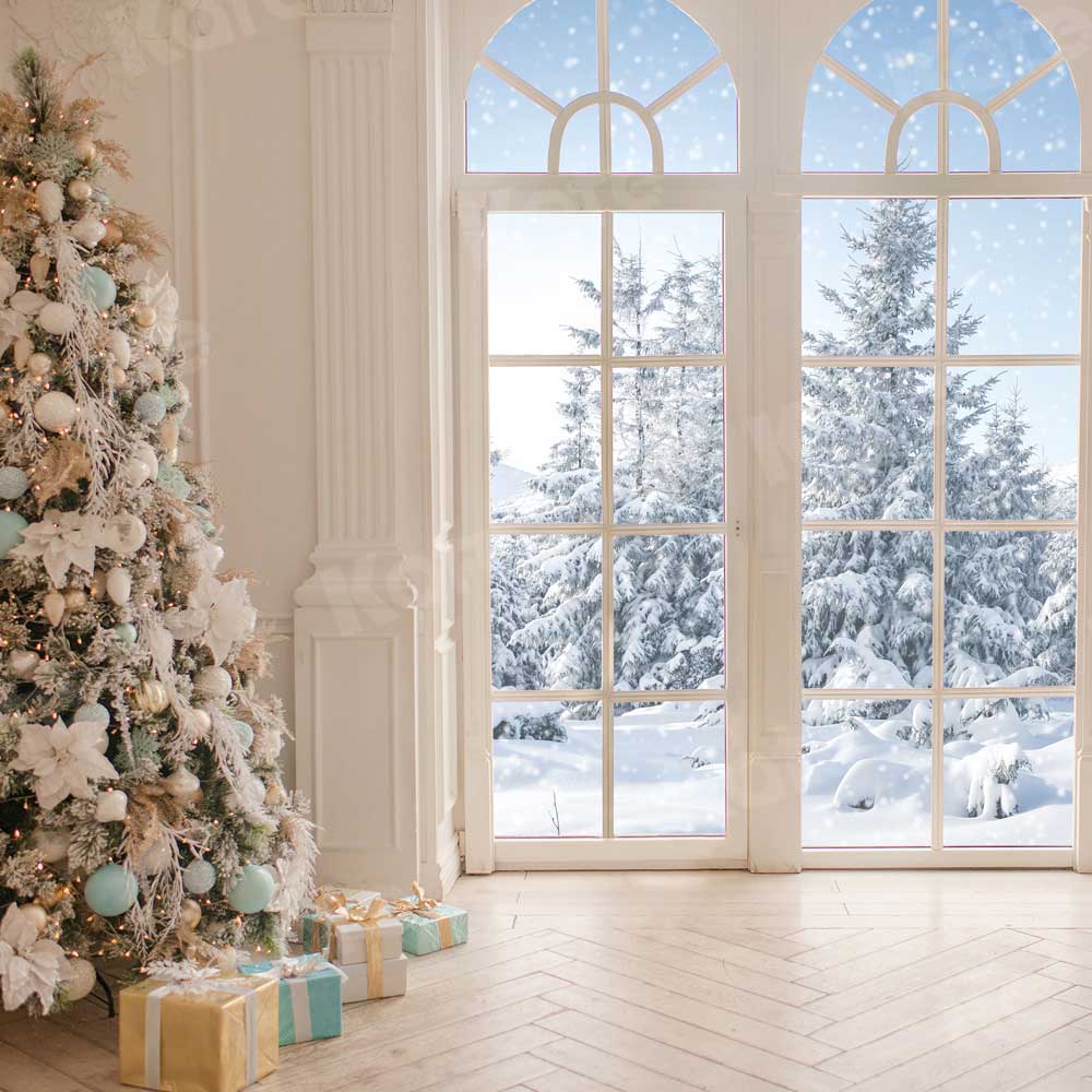 Kate Christmas Window White Winter Backdrop for Photography