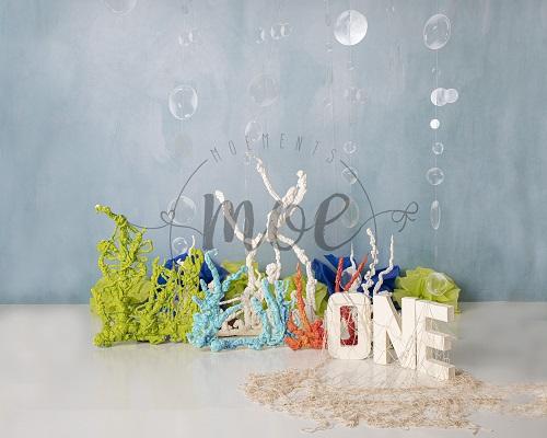 Kate Bubble Guppies 1st Birthday Backdrop Designed By Moements Photography -UK