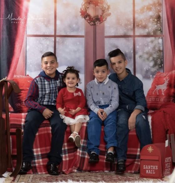 Kate Christmas Snow And Sunshine Outside Window Backdrops for Photography -UK