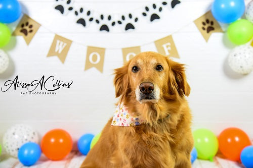 Neutral Dog Balloons Decorations Backdro