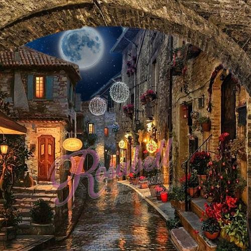 Kate Moon Night Backdrop Designed by Rosabell Photography -UK