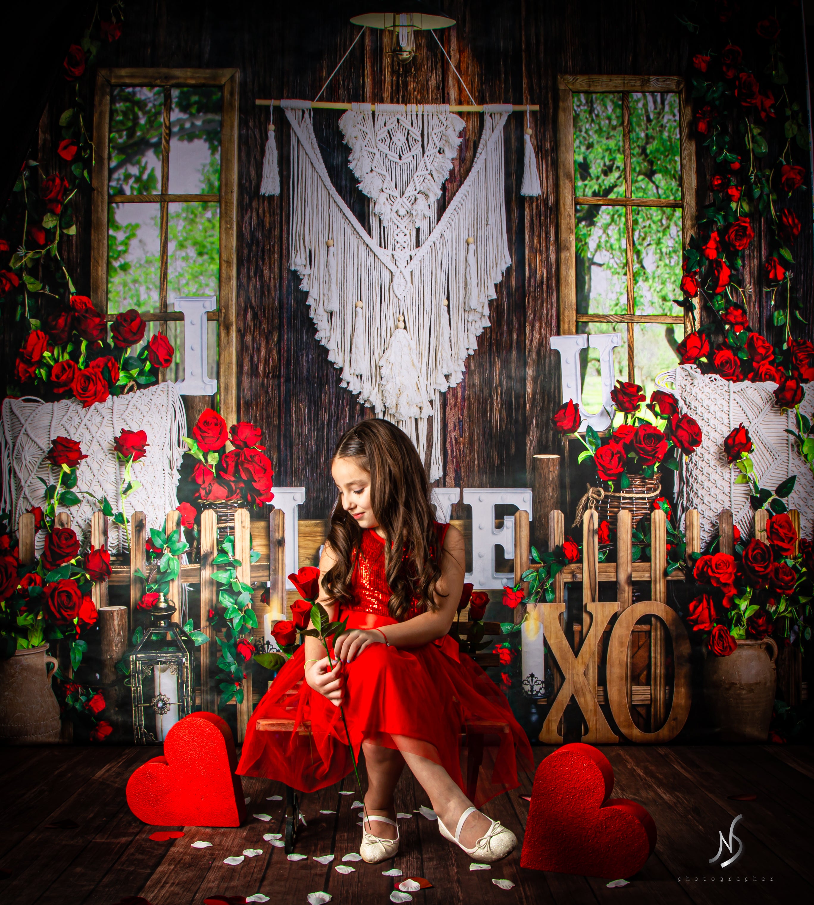 Kate Valentine's Day Boho Spring Window Rose Backdrop Designed by Emetselch -UK