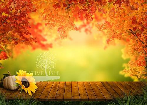Kate Sunny Autumn Backdrop Designed by Chrissie Green -UK