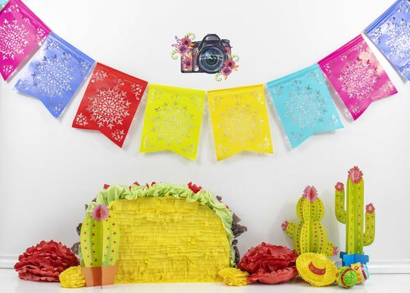 Kate Taco Theme with Colorful Flags Backdrop for Photography Designed By Leann West -UK