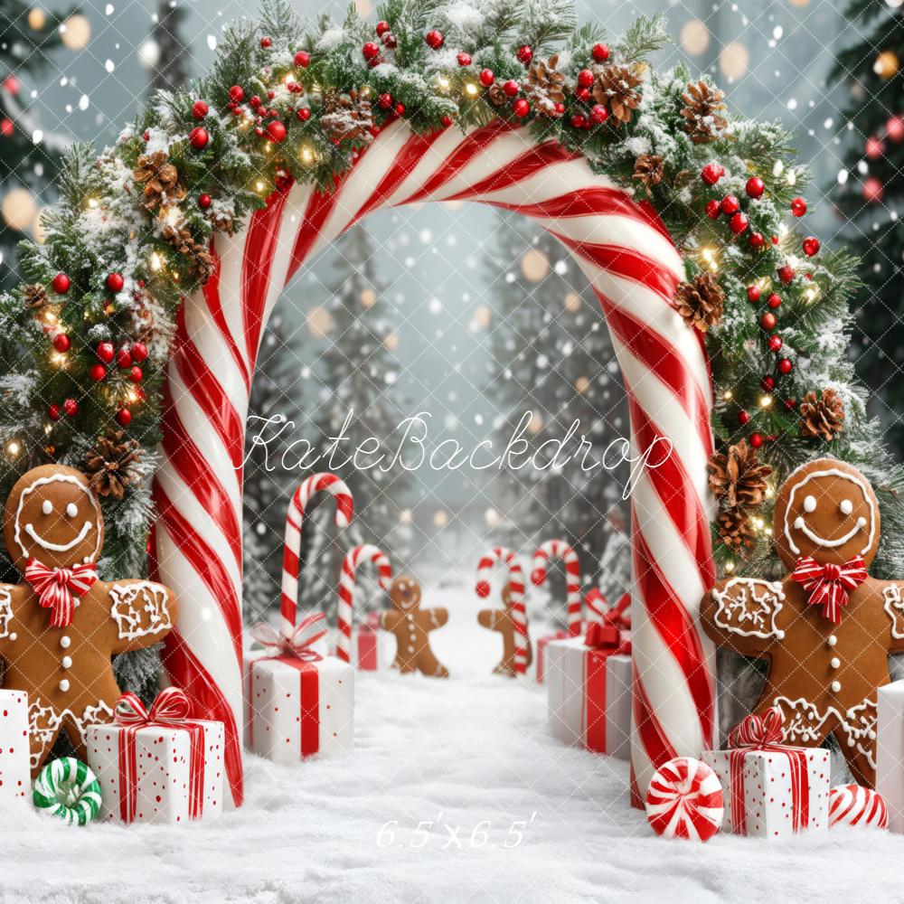 Kate Christmas Candy Cane Gingerbread Gift Backdrop Designed by Emetselch