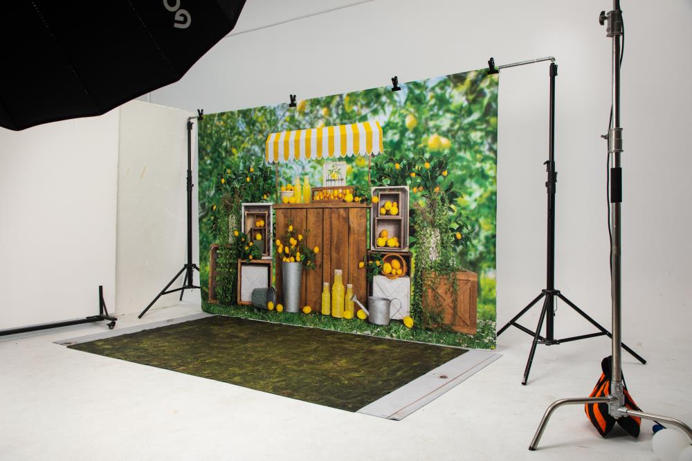 Kate Summer Lemon Trees Backdrop Designed by Emetselch