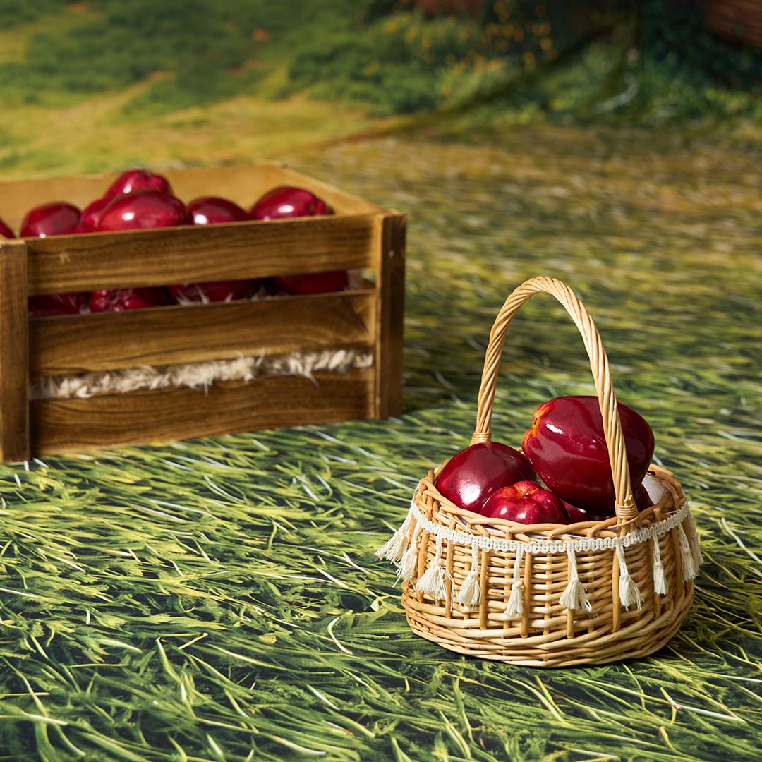 Kate Autumn Apple Orchard Roomset Photo Kit -UK
