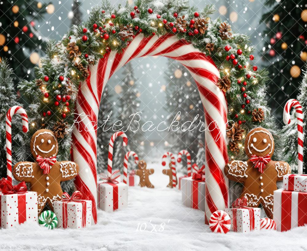 Kate Christmas Candy Cane Gingerbread Fleece Backdrop Designed by Emetselch -UK