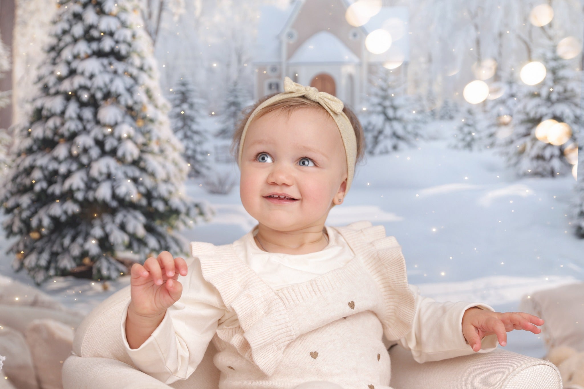 Kate Christmas Snowy Forest Window Arch Backdrop Designed by Emetselch -UK