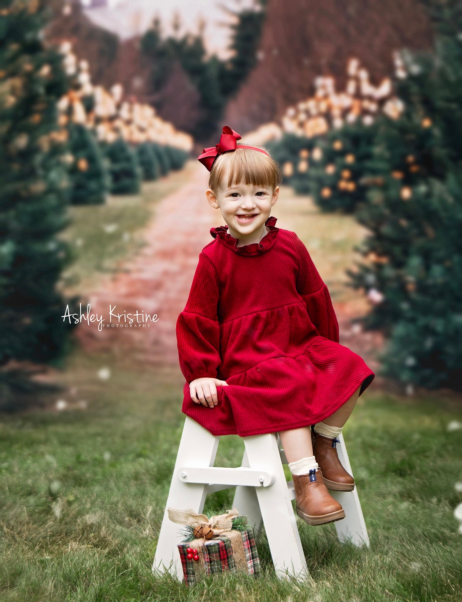 Kate Christmas Trees Farm Road Backdrop Designed by Emetselch