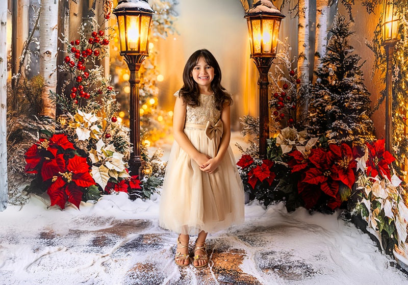 Kate Christmas Lantern Snowy Forest Backdrop Designed by Emetselch -UK