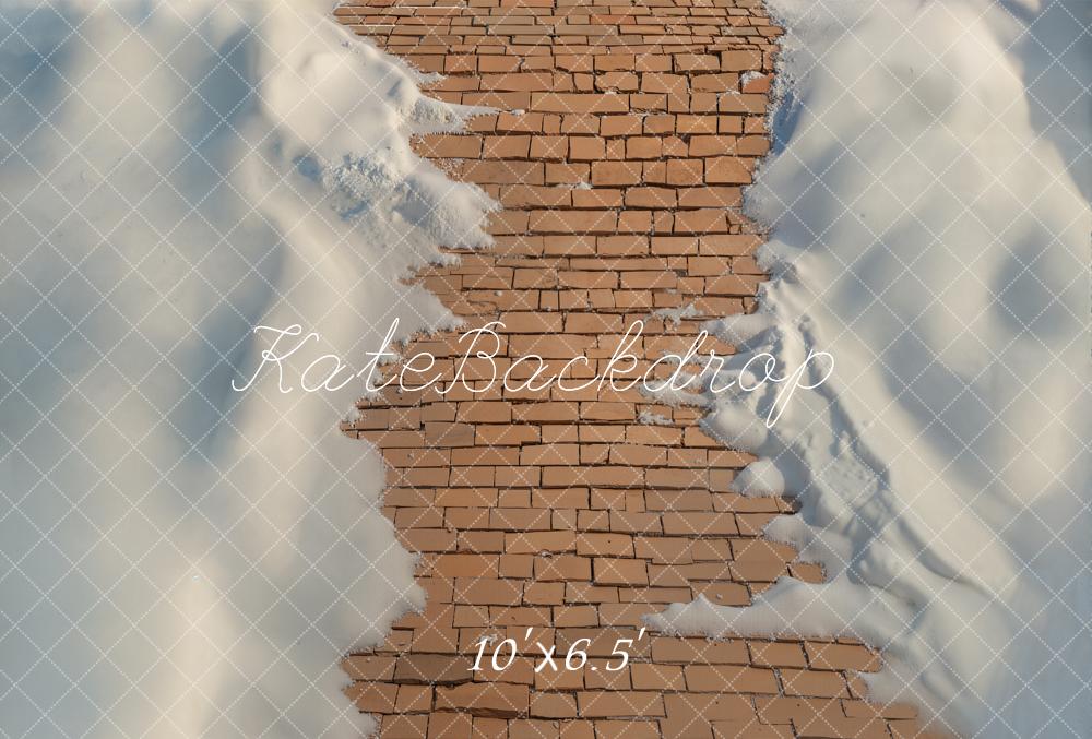 Kate Cobblestone Path Snow Fleece Backdrop Designed by Emetselch