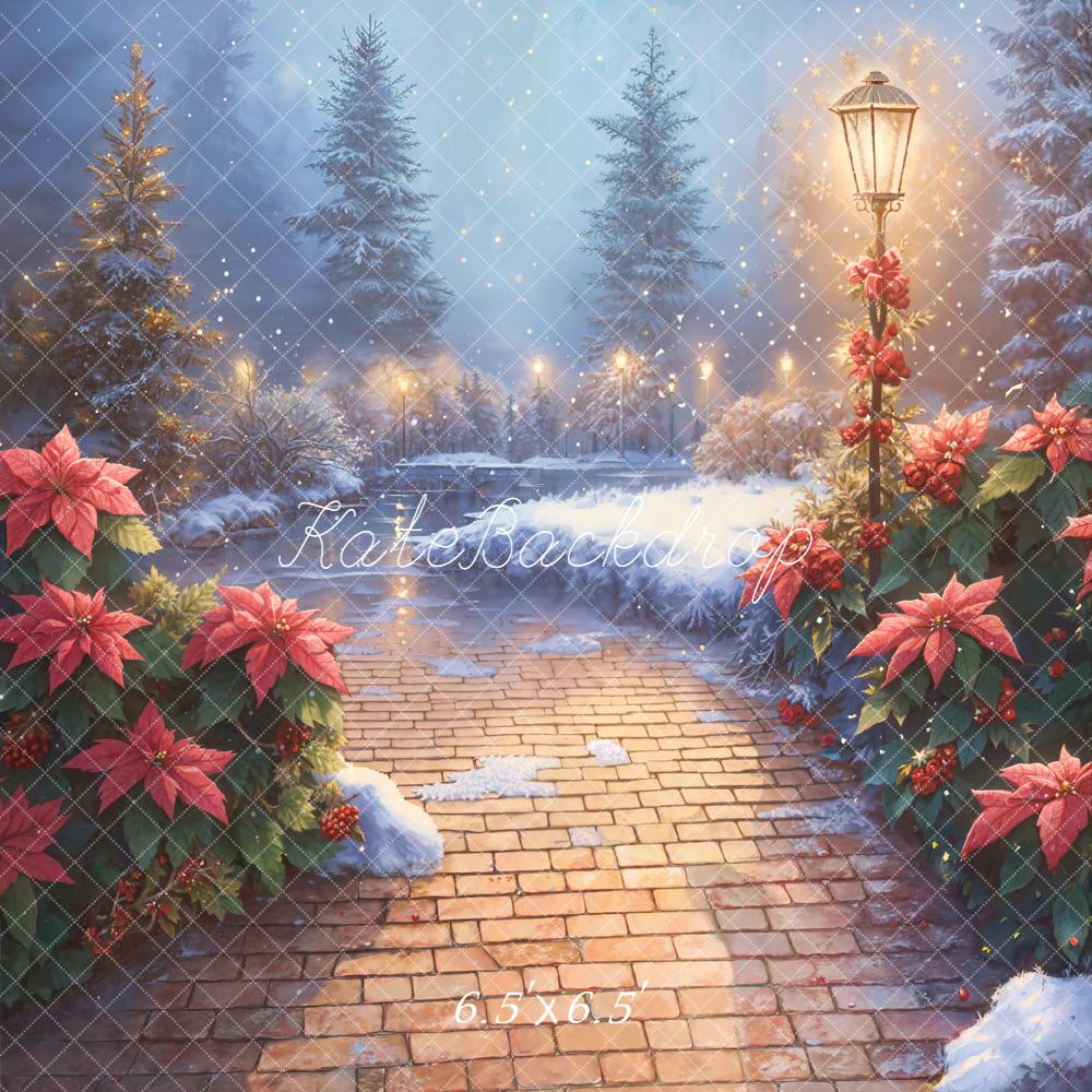 Kate Christmas Snowy Stone Path Poinsettia Lamp Backdrop Designed by Emetselch