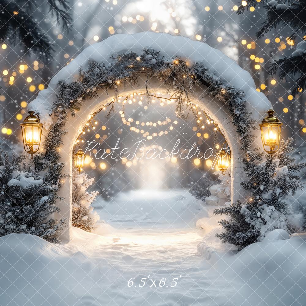 Kate Christmas Winter Arch Snow Lights Backdrop Designed by Emetselch -UK