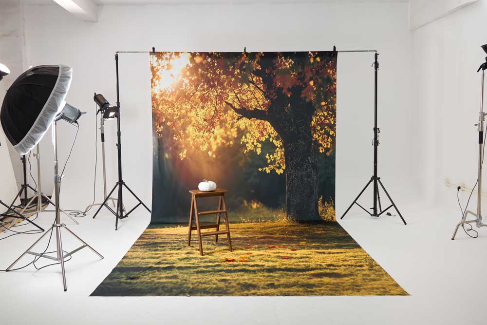 Kate Autumn Park Garden Photo Kit -UK