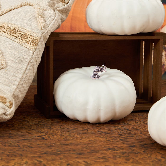 Kate Autumn Outdoor Truck Photo Kit -UK