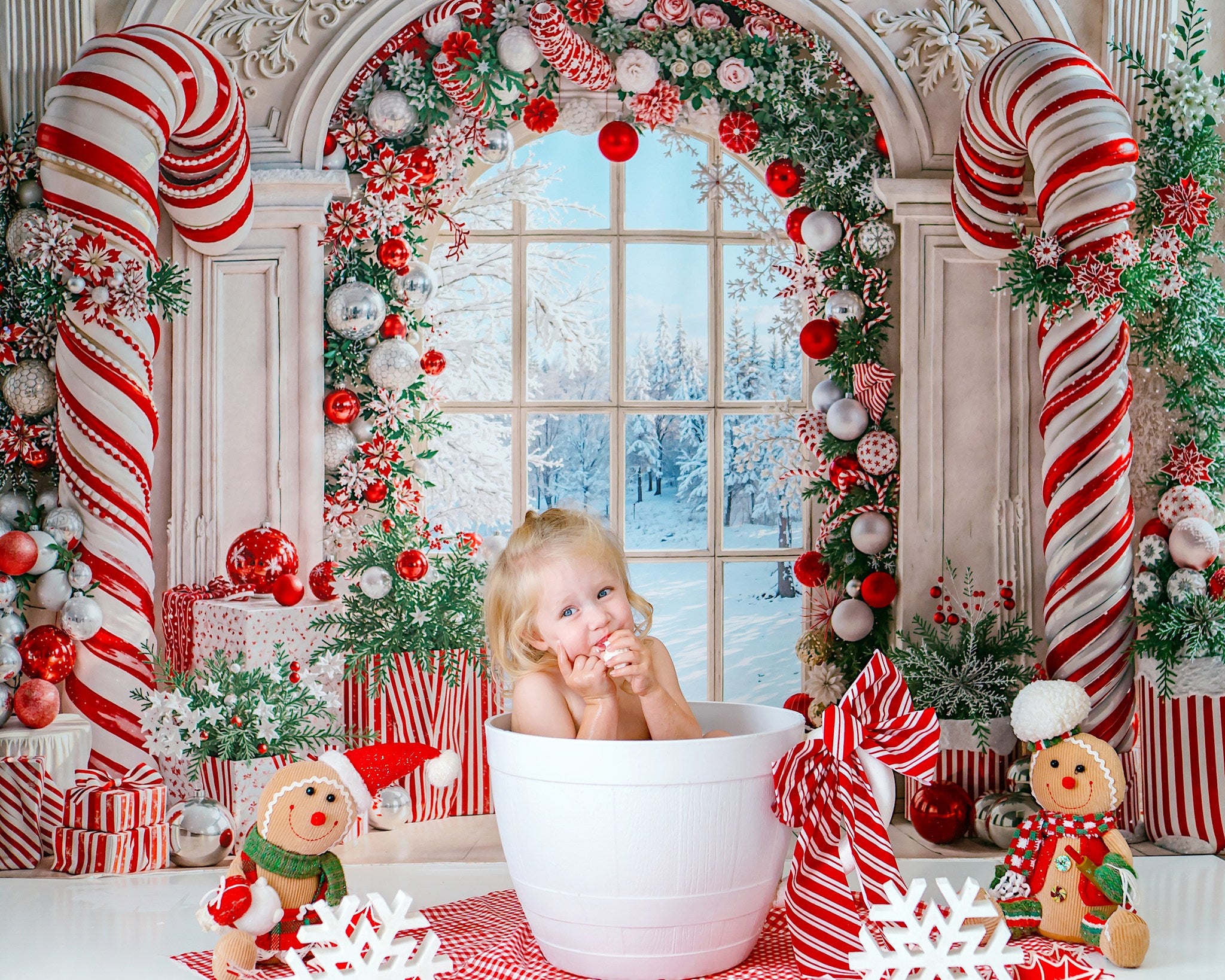 On Sale Kate Christmas Candy Cane Arched Window Backdrop Designed by Emetselch