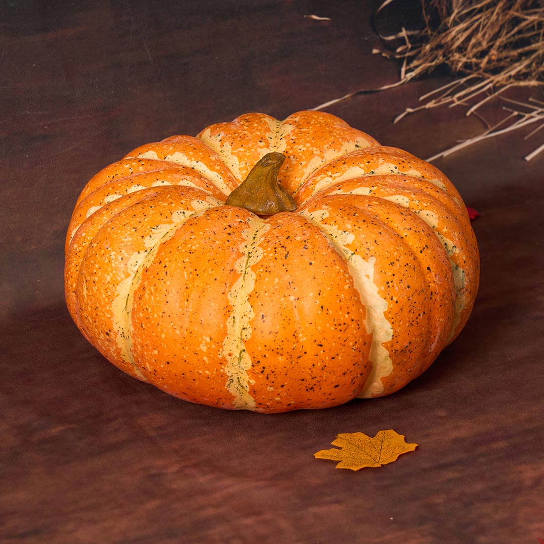 Kate Autumn Barn Door Pumpkin Photo Kit -UK