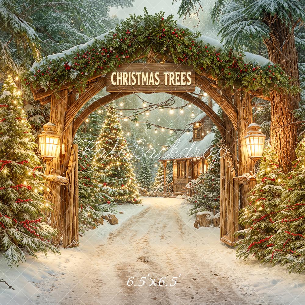 Kate Christmas Arch Snowy Trees Path Backdrop Designed by Emetselch