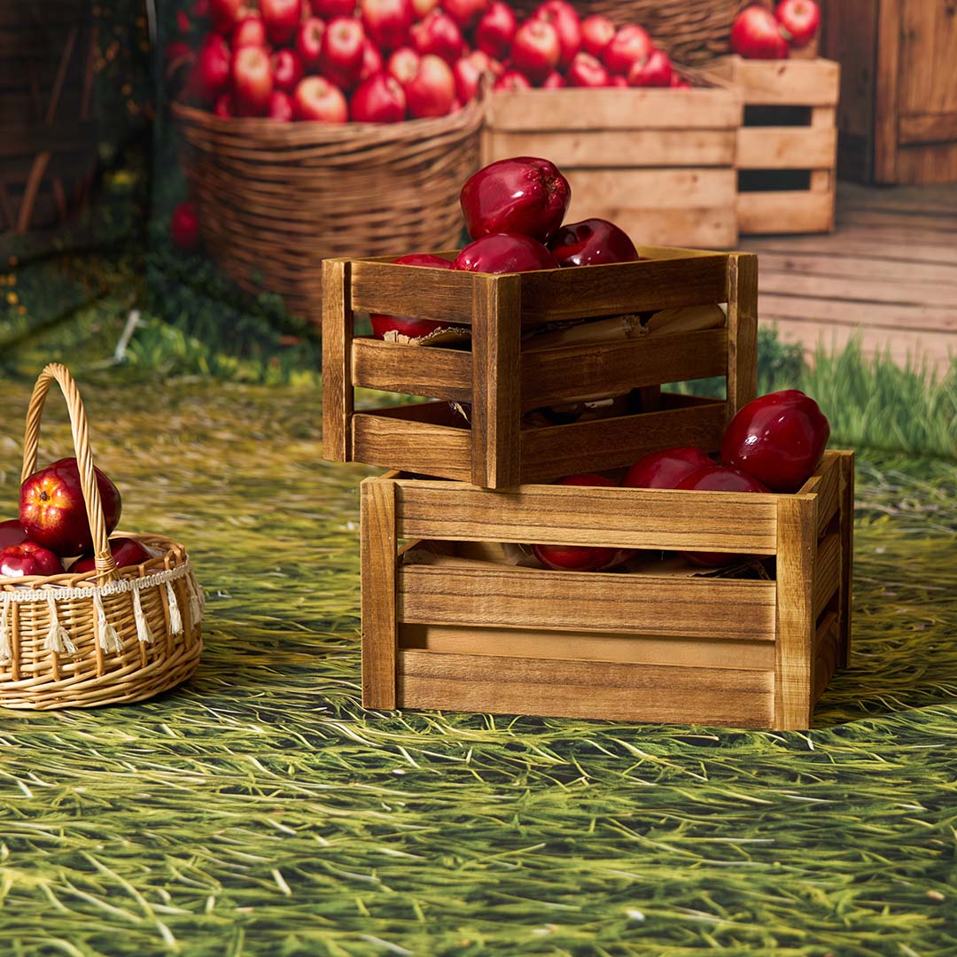 Kate Autumn Apple Orchard Roomset Photo Kit -UK