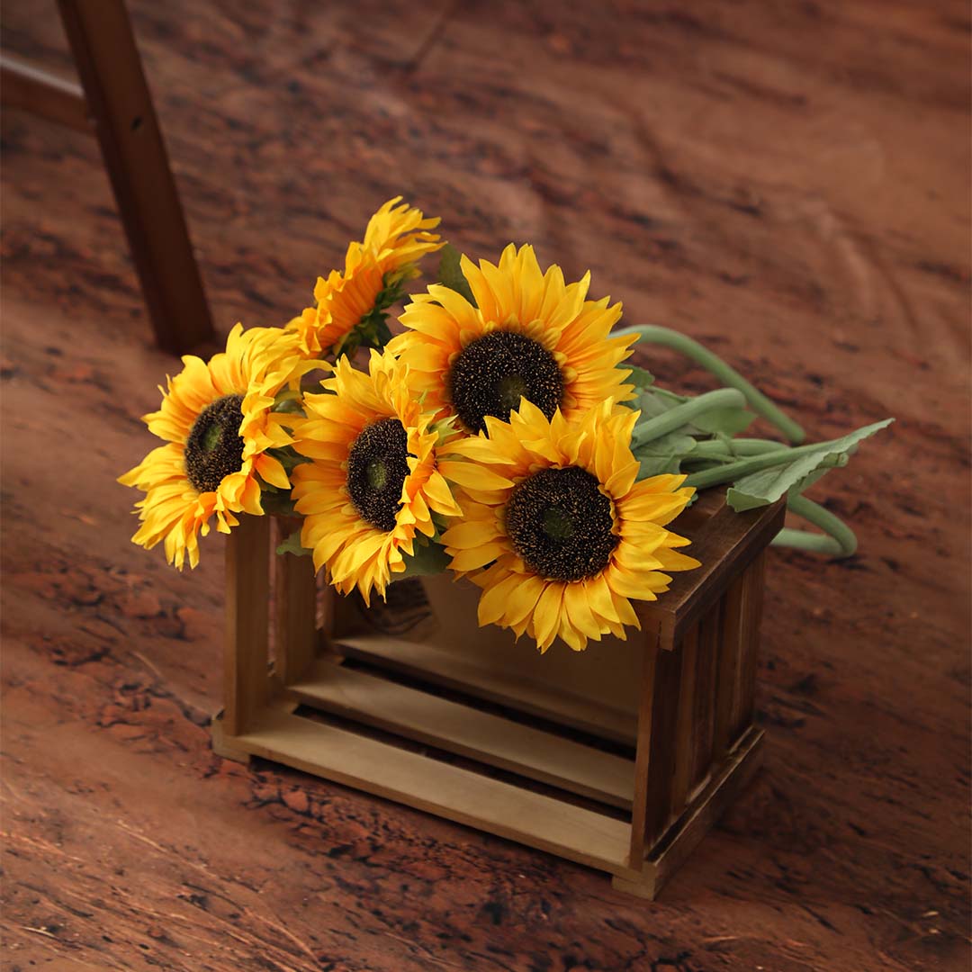 Kate Summer Sunflower Photo Kit -UK
