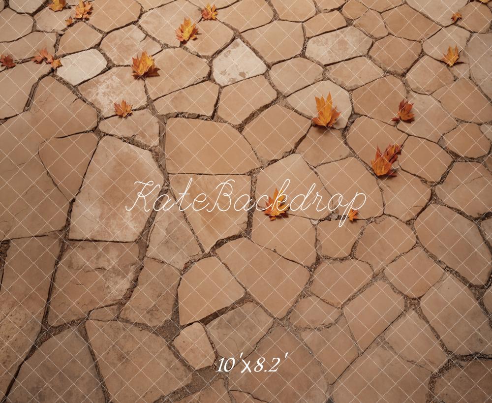 Kate Autumn Leaves Stone Path Fleece Backdrop Designed by Emetselch