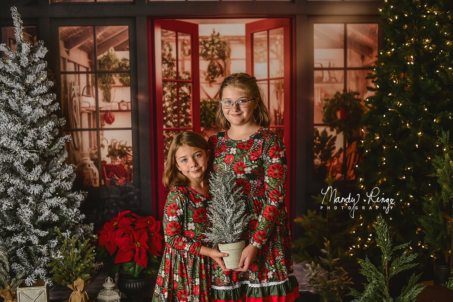 Kate Christmas Holiday Greenhouse Backdrop Designed by Mandy Ringe Photography