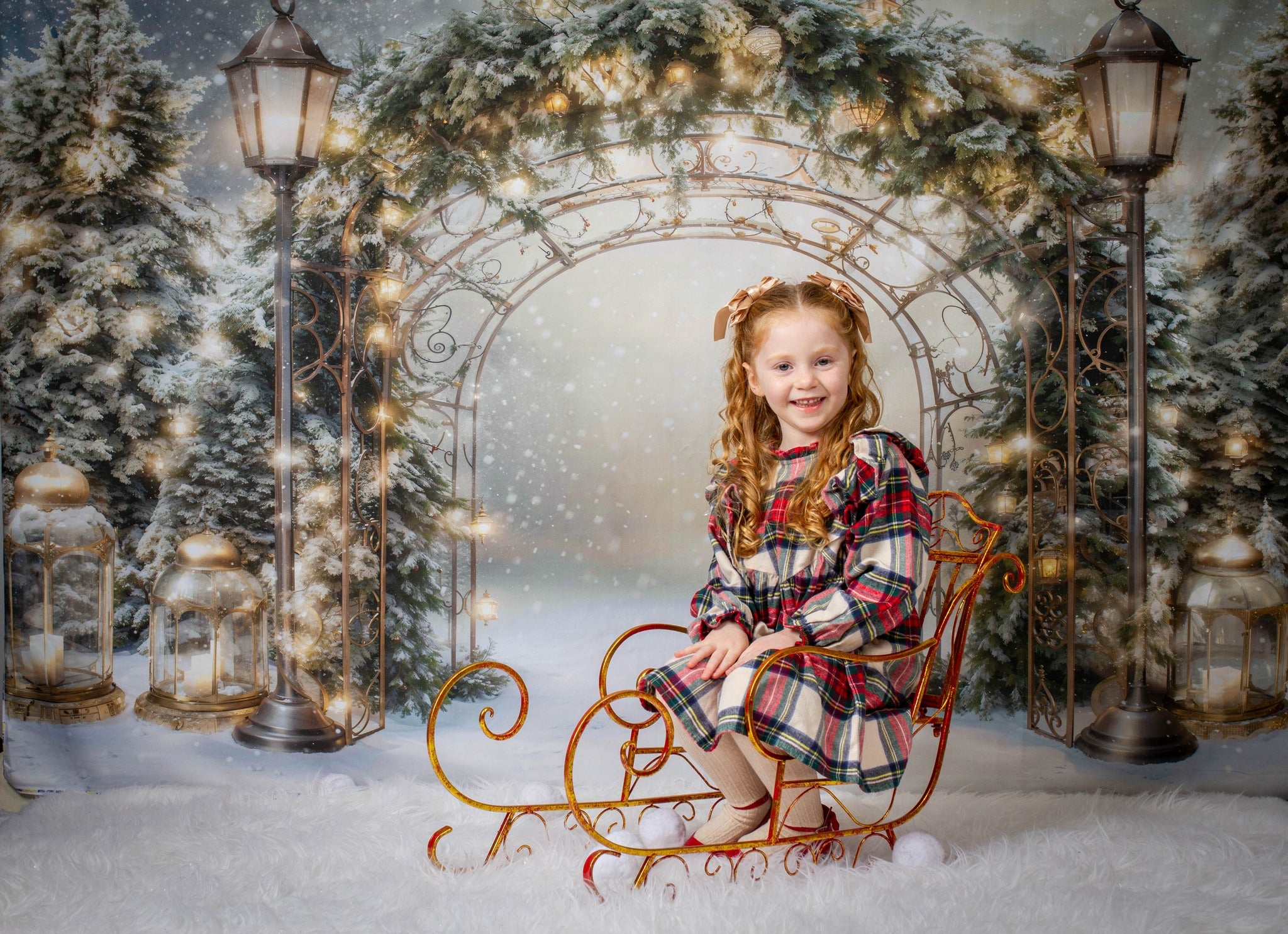 Kate Winter Christmas Branch Arch Backdrop Designed by Emetselch